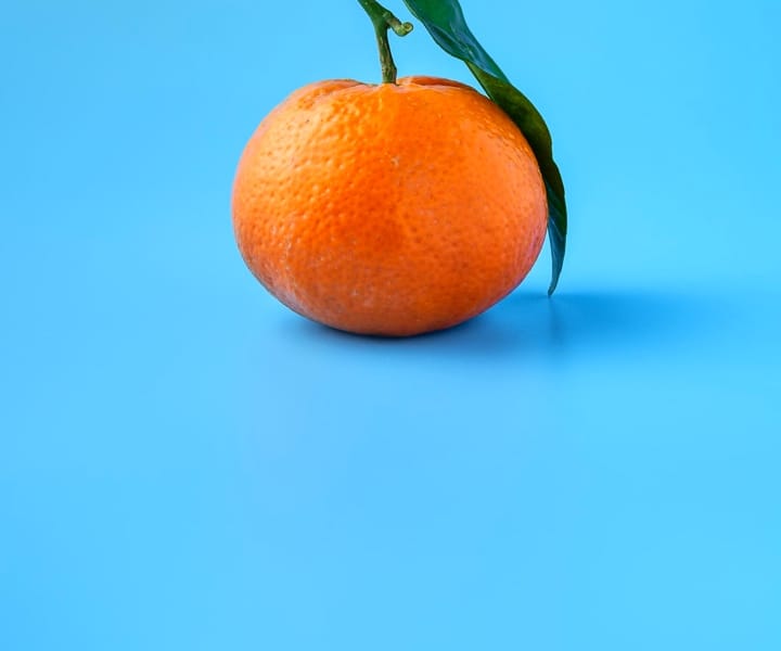 orange slice