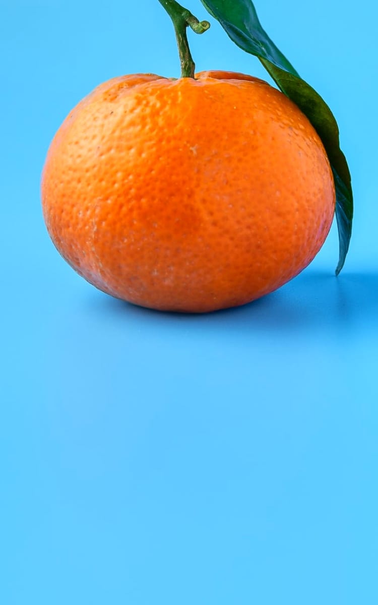 orange slice